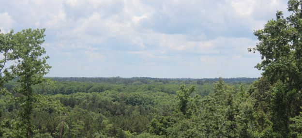banner2